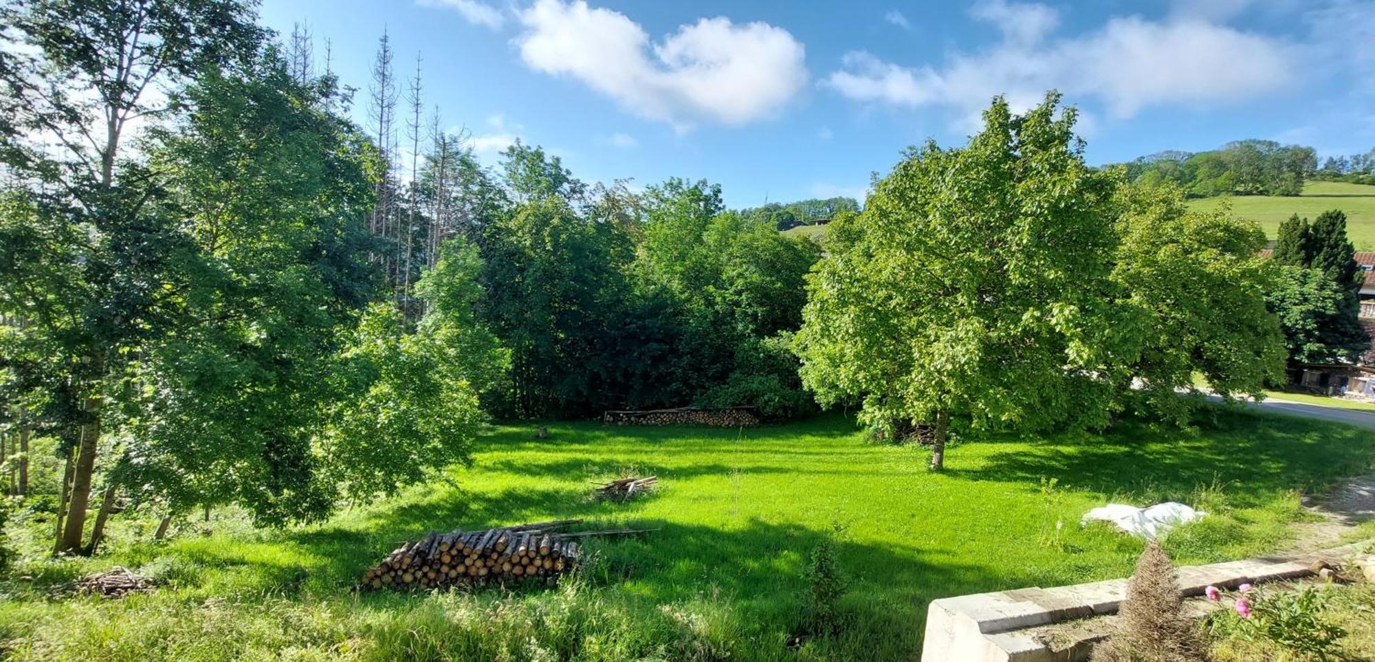 Fewo Bukowina Waldshut-Tiengen Luaran gambar